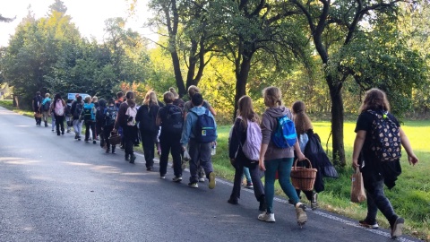Obrázek v galerii