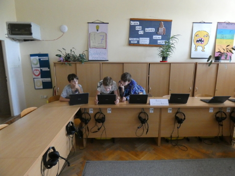 Obrázek v galerii