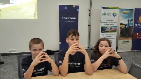 Obrázek v galerii