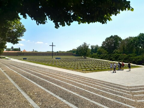 Obrázek v galerii