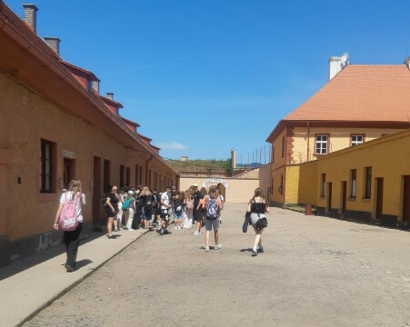 Obrázek v galerii
