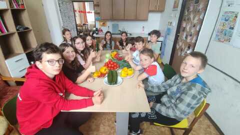 Obrázek v galerii
