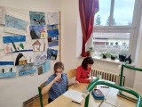 Obrázek v galerii