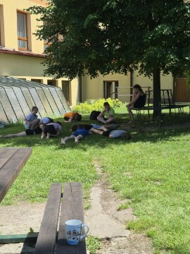 Obrázek v galerii