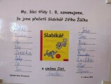 Obrázek v galerii