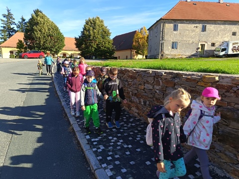 Obrázek v galerii