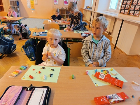 Obrázek v galerii