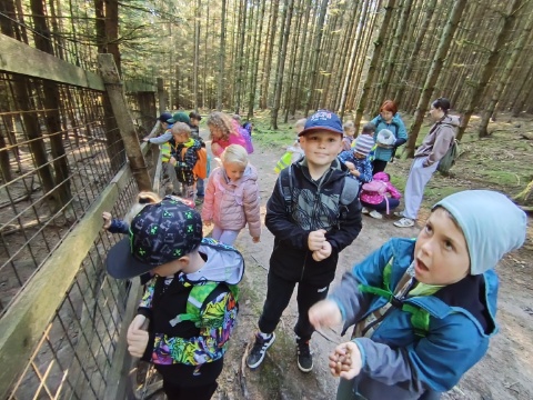 Obrázek v galerii
