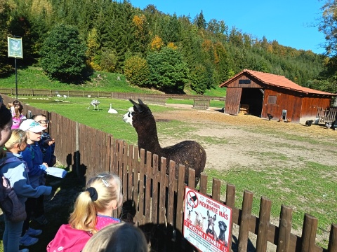Obrázek v galerii