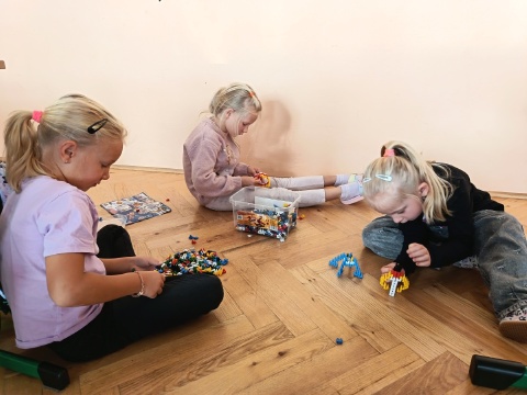 Obrázek v galerii