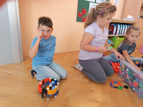 Obrázek v galerii