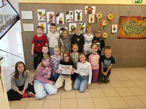 Obrázek v galerii