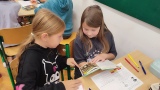 Obrázek v galerii