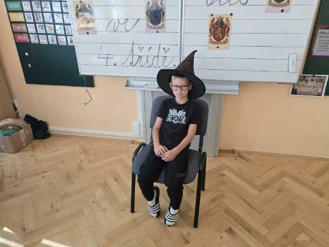 Obrázek v galerii