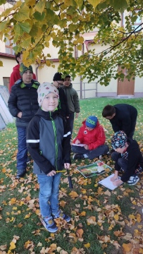 Obrázek v galerii