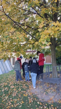 Obrázek v galerii