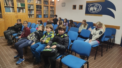Obrázek v galerii