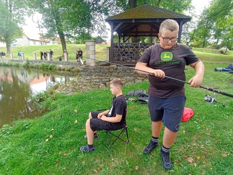 Obrázek v galerii