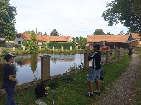 Obrázek v galerii