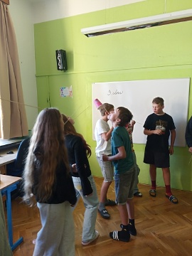 Obrázek v galerii