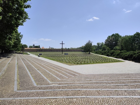 Obrázek v galerii