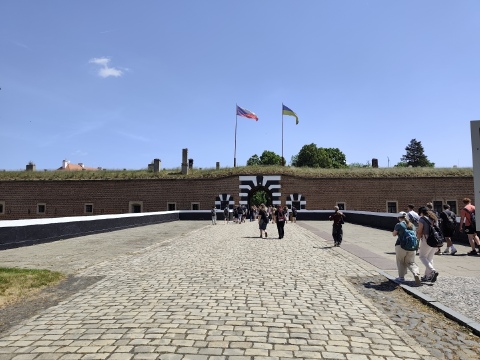 Obrázek v galerii