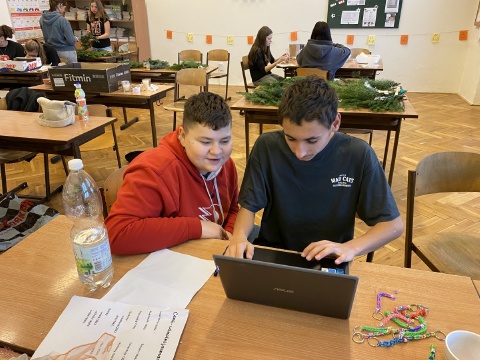 Obrázek v galerii