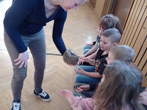 Obrázek v galerii