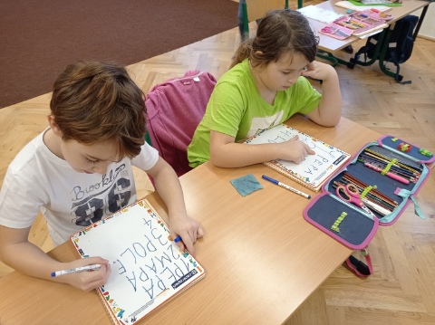 Obrázek v galerii