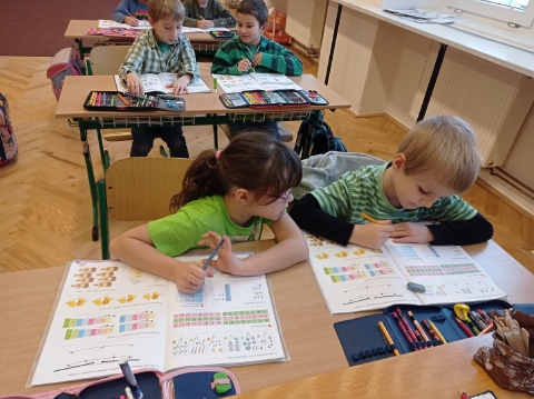 Obrázek v galerii