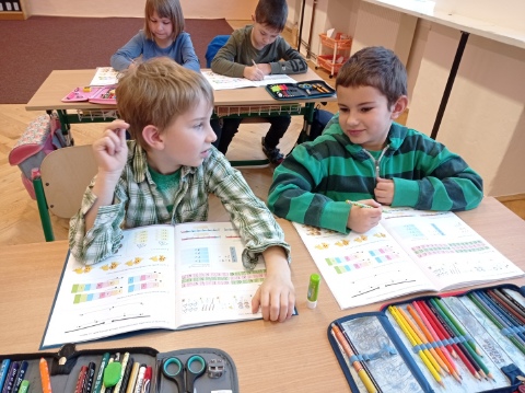 Obrázek v galerii