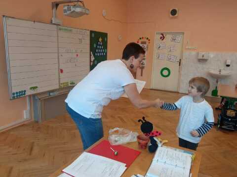 Obrázek v galerii
