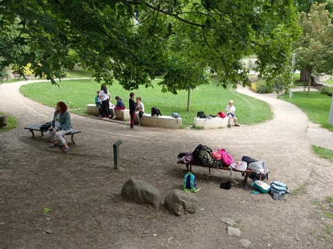Obrázek v galerii