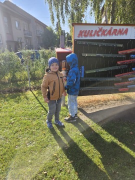 Obrázek v galerii