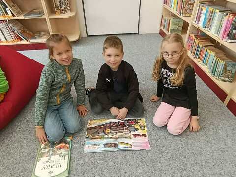 Obrázek v galerii
