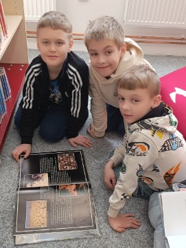 Obrázek v galerii