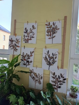 Obrázek v galerii