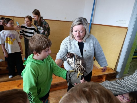 Obrázek v galerii