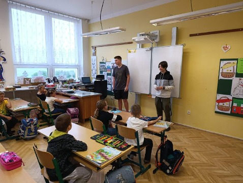 Obrázek v galerii