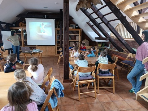 Obrázek v galerii
