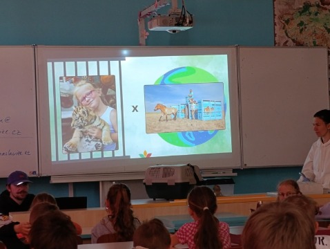 Obrázek v galerii