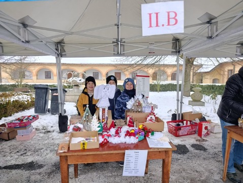 Obrázek v galerii