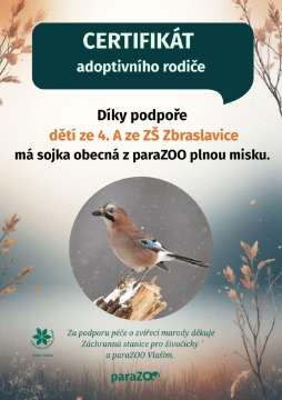 Obrázek v galerii
