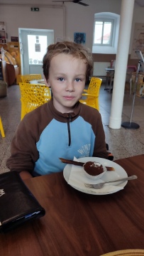 Obrázek v galerii