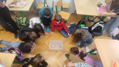 Obrázek v galerii