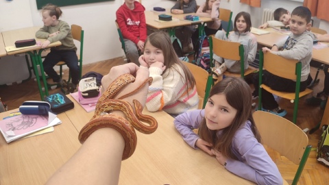 Konečně máme třídního mazlíčka