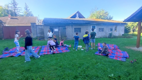 Obrázek v galerii