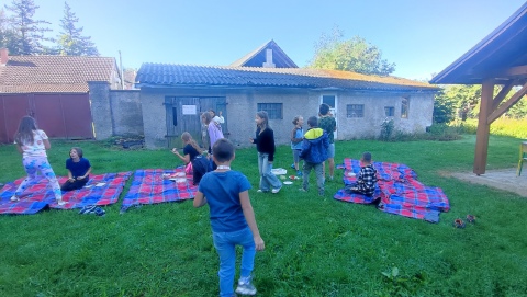 Obrázek v galerii
