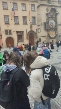 Obrázek v galerii