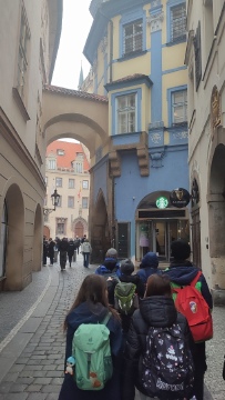 Obrázek v galerii
